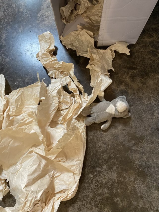 Box with torn packing paper and a cat toy