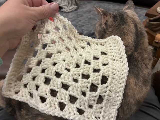 Granny Square Rectangle – Critters and Craft